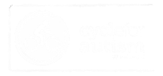 Autism Initiatives Fundraising Hub